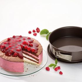 Dr. Oetker Back Edition Kelepçeli 24 cm Kek Kalıbı