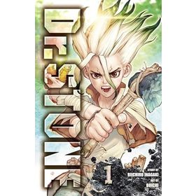 Dr. Stone Vol. 1