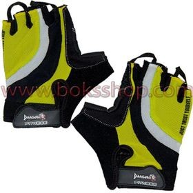 Dragon Body29 Fitness Eldiveni