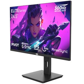 Dragos ELITESeries E245FHD300 300Hz 1ms Pivot IPS Oyuncu Monitörü
