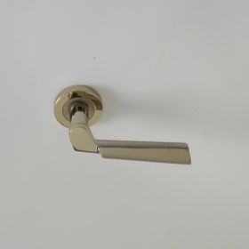 Dreamax DHA30 Saten Nikel Rozetli Wc Kapı Kolu