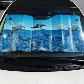 Dreamcar 1103501 Metalize Balonlu 60 x 130 cm Manzaralı Güneşlik