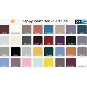 Dryfix Happy Paint Parlak Vernikli Frida 350 cc Hobi Boyası