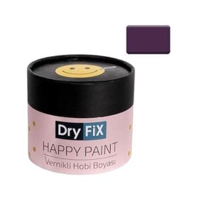 Dryfix Happy Paint Parlak Vernikli Türkan 350 cc Hobi Boyası