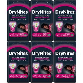 Drynites Kız 4-7 Yaş 17-30 kg 6x10 60 Adet Emici Gece Külodu