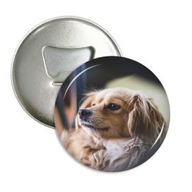 Dthinker 3 Adet Köpek Küçük Hayvan Yalnız Fotoğraf Yuvarlak Şişe Açacağı Buzdolabı Mıknatısı Rozet Düğmesi