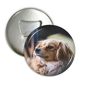Dthinker 3 Adet Köpek Küçük Hayvan Yalnız Fotoğraf Yuvarlak Şişe Açacağı Buzdolabı Mıknatısı Rozet Düğmesi