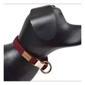 Dubex Bordo Köpek Boyun Tasması