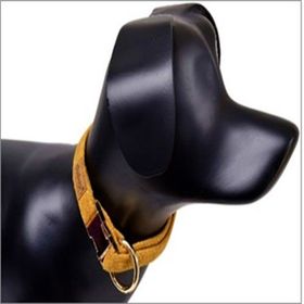 Dubex Sarı Köpek Boyun Tasması