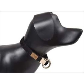 Dubex Siyah Köpek Boyun Tasması