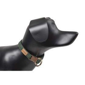 Dubex Yeşil Köpek Boyun Tasması