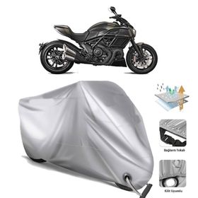 Ducati Diavel Dark Motor Brandası