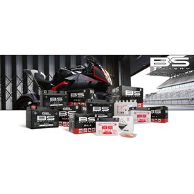 Ducati Monster 1100 Motor Brandası