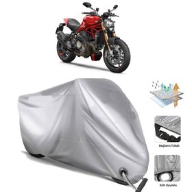 Ducati Monster 1200 Motor Brandası