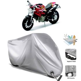 Ducati Monster 796 Motor Brandası