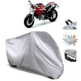 Ducati Monster 796 Motor Brandası