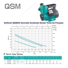 Duffmart QSM600 Su Pompası