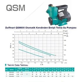 Duffmart QSM600 Su Pompası