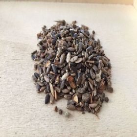 Duhala 100 gr Deve Dikeni Tohumu