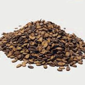 Duhala 500 gr Karpuz Çekirdeği
