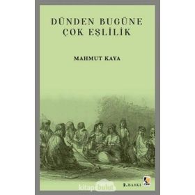 Dünden Bugüne Çok Eşlilik - Mahmut Kaya