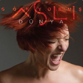 DÜNYA BIR GEZEGENIN ÖYKÜSÜ - MIKE GOLDSMITH