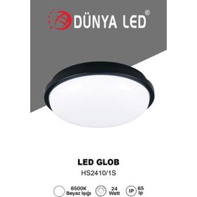 Dünya Led HS2410/1-S 24W Siyah Kasa LED Glob Armatür 6500K Beyaz Işık