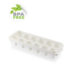 Dünya Plastik New Buzluk
