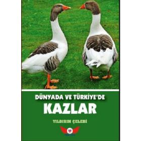 Dünyada ve Türkiye’de Kazlar - Yıldırım Çelebi