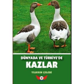Dünyada ve Türkiye’de Kazlar - Yıldırım Çelebi