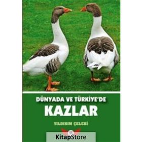 Dünyada ve Türkiye’de Kazlar - Yıldırım Çelebi