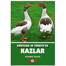 Dünyada ve Türkiye’de Kazlar - Yıldırım Çelebi