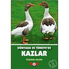 Dünyada ve Türkiye’de Kazlar - Yıldırım Çelebi
