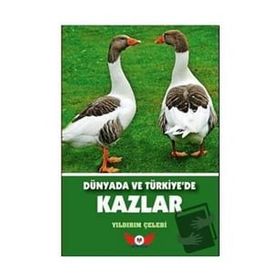 Dünyada ve Türkiye’de Kazlar - Yıldırım Çelebi