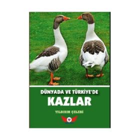Dünyada ve Türkiye’de Kazlar - Yıldırım Çelebi