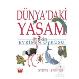 Dünya’daki Yaşam - Steve Jenkins