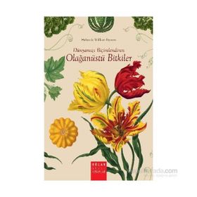 Dünyamızı Biçimlendiren Olağanüstü Bitkiler - William Bynum Helen Bynum