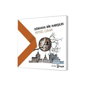 Dünyaya Bir Karşılık - Veysel Çolak