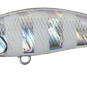 Duo 48HS GJA0101 Tetra Works Toto Zebra Glow Sahte Balık
