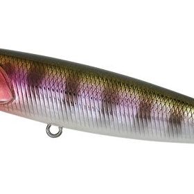 Duo ADA3058 Realis Crank Mid Roller Prism Gill Yem
