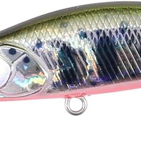 Duo ADA4068 Yamame Red Belly Spearhead Ryuki 50S Takumi Suni Yem