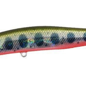 Duo ADA4068 Yamame Red Belly Spearhead Ryuki 50S Takumi Suni Yem