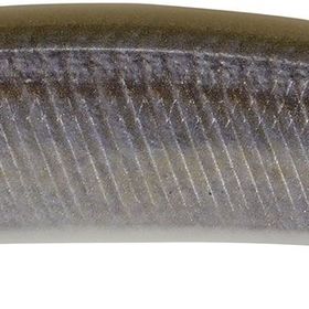 Duo CCC3816 120 Sp Realis Jerkbait Siwash Suni Balık Yemi