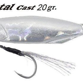 Duo Drag Metal Cast Jig 20gr. PDA0005 Silver Suni Balık Yemi