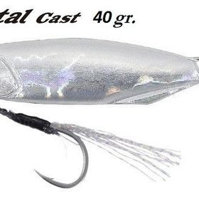 Duo PDA0005 Silver 40 gr Drag Metal Cast Slow Jig Balık Yemi