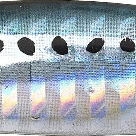 Duo PHA0011 Drag Metal Cast Slim Jig 30 gr Sardine