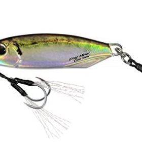 Duo PNA0488 Drag Metal Cast Slow 30 gr Real Aji Rapala