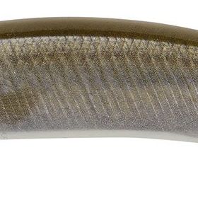 Duo Realis Jerkbait 120f Ada 3058 Prism Gill