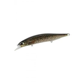 Duo Realis Jerkbait 120SP Pike CCC3815 Brown Trout ND Suni Balık Yemi