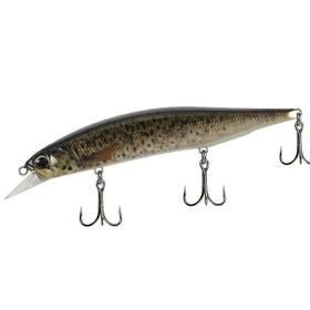 Duo Realis Jerkbait 120SP Pike CCC3815 Brown Trout ND Suni Balık Yemi